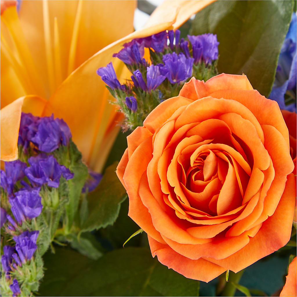 Radiant Citrus Box Bouquet – Bath County Florist, Owingsville KY
