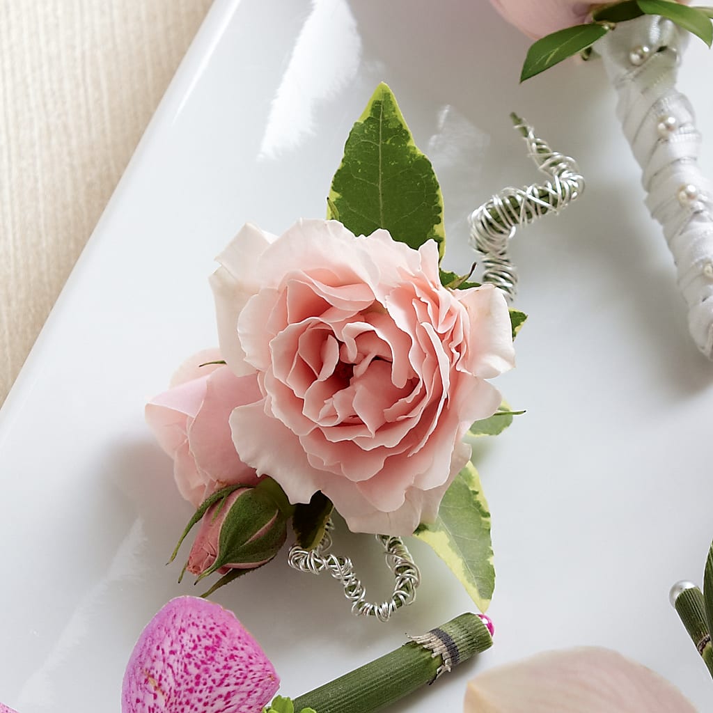 Pink Spray Rose Boutonniere – Bath County Florist, Owingsville KY