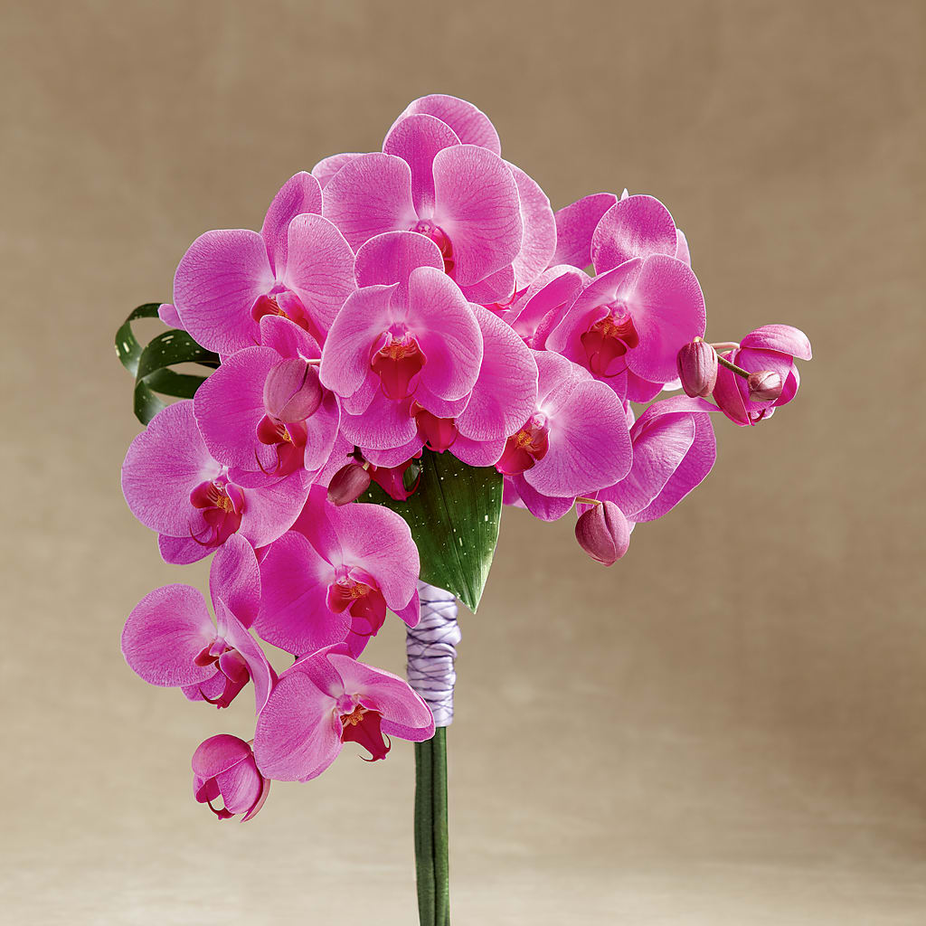 Glorious Bouquet – Bath County Florist, Owingsville KY