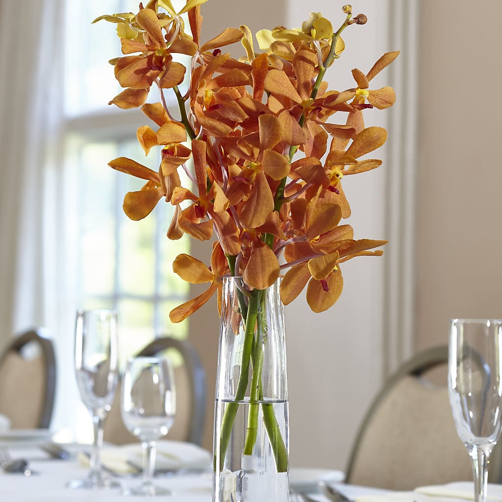 Orange Mokara Bud Vase – Bath County Florist, Owingsville KY