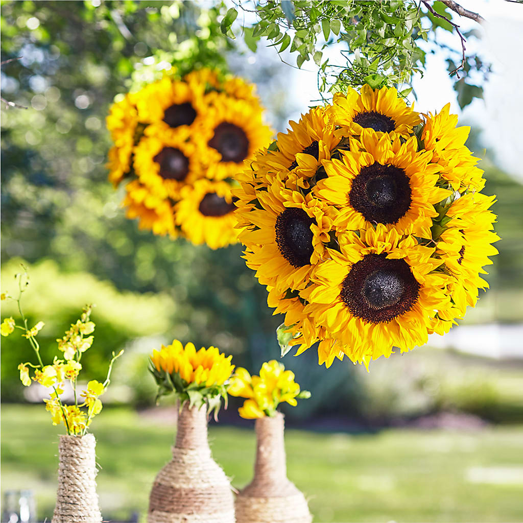 Sublime Garden Hanging Arrangement – Bath County Florist, Owingsville KY