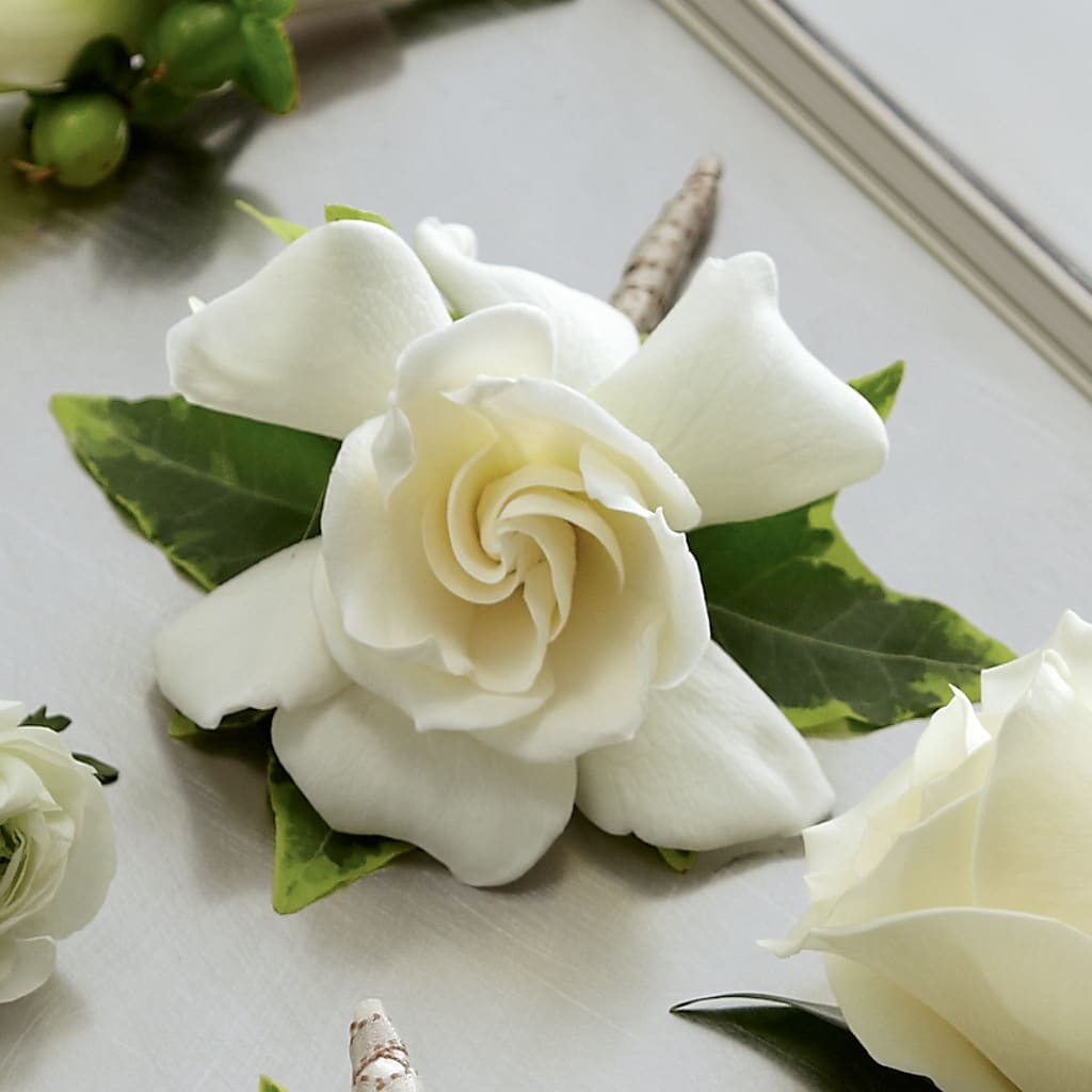Gardenia Boutonniere – Bath County Florist, Owingsville KY
