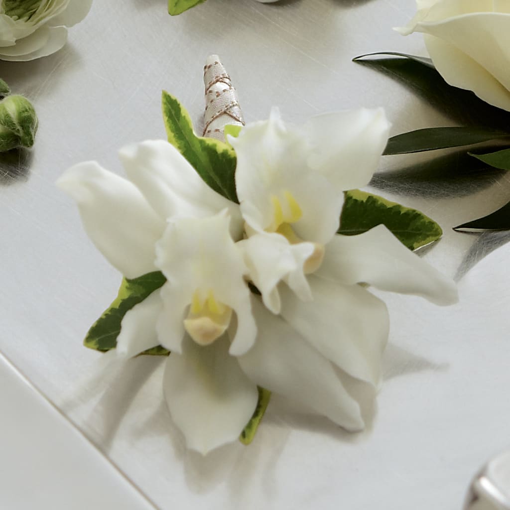 White Mini Cymbidium Boutonniere – Bath County Florist, Owingsville KY