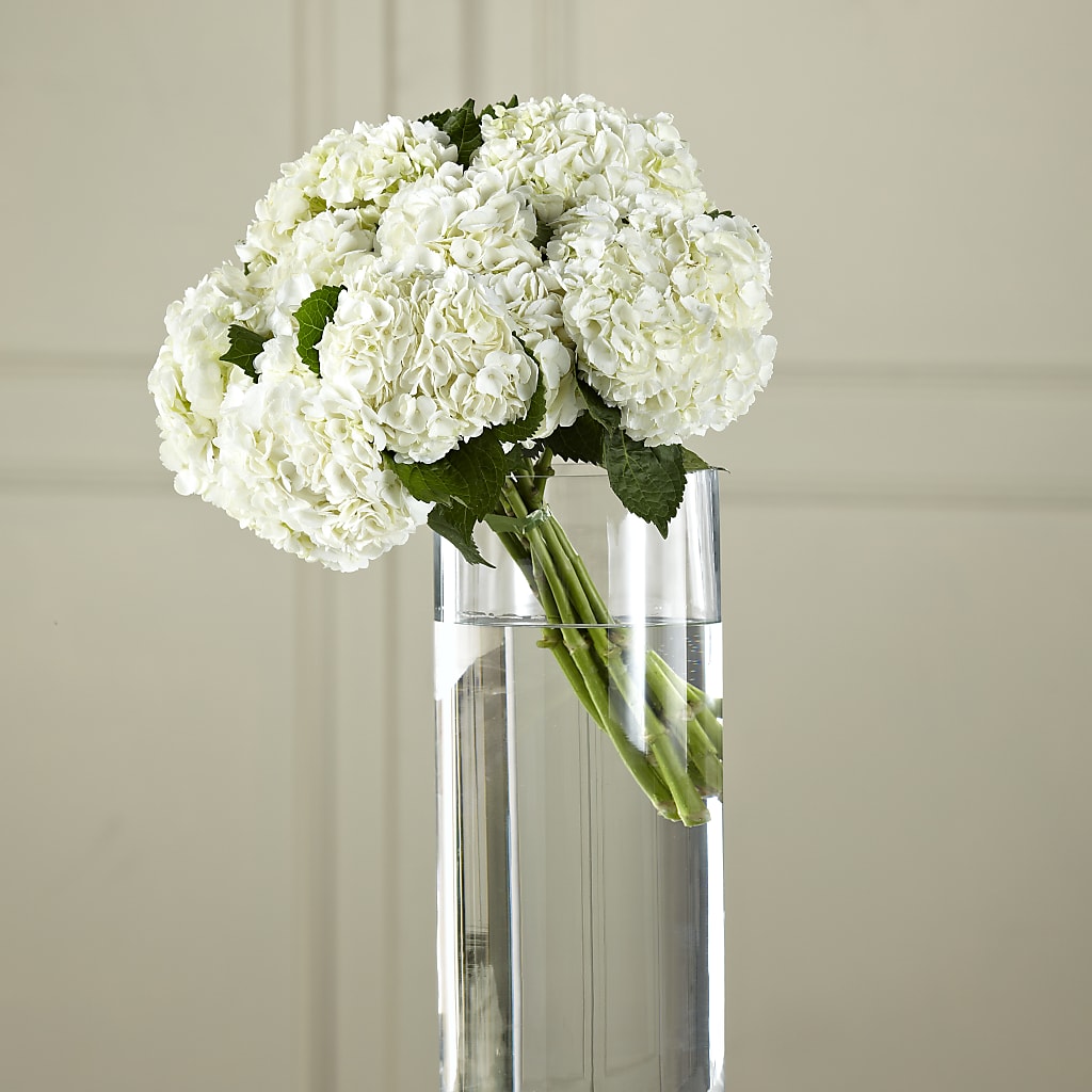 White Hydrangea Hand-Tied Bouquet – Bath County Florist, Owingsville KY