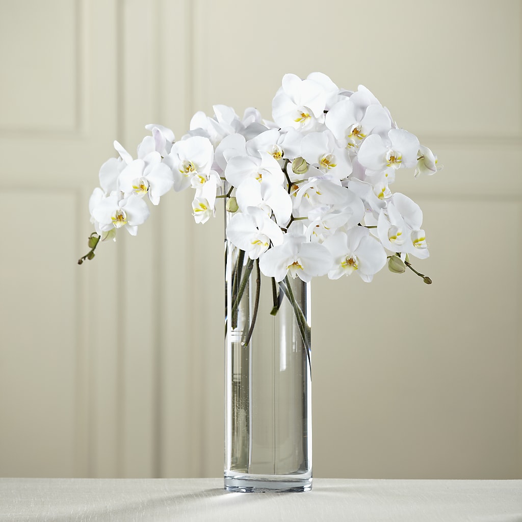 White Phalaenopsis Bouquet – Bath County Florist, Owingsville KY