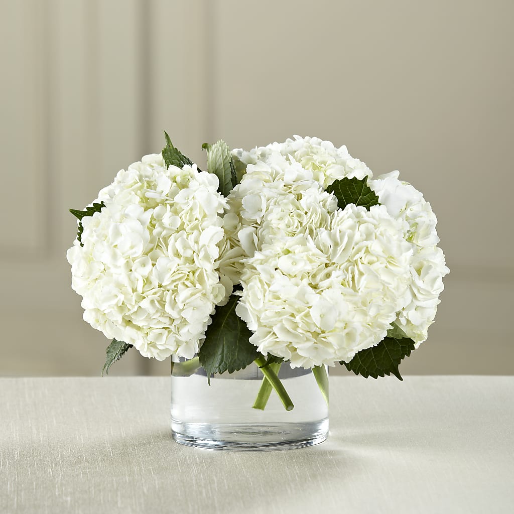 White Hydrangea Bouquet – Bath County Florist, Owingsville KY