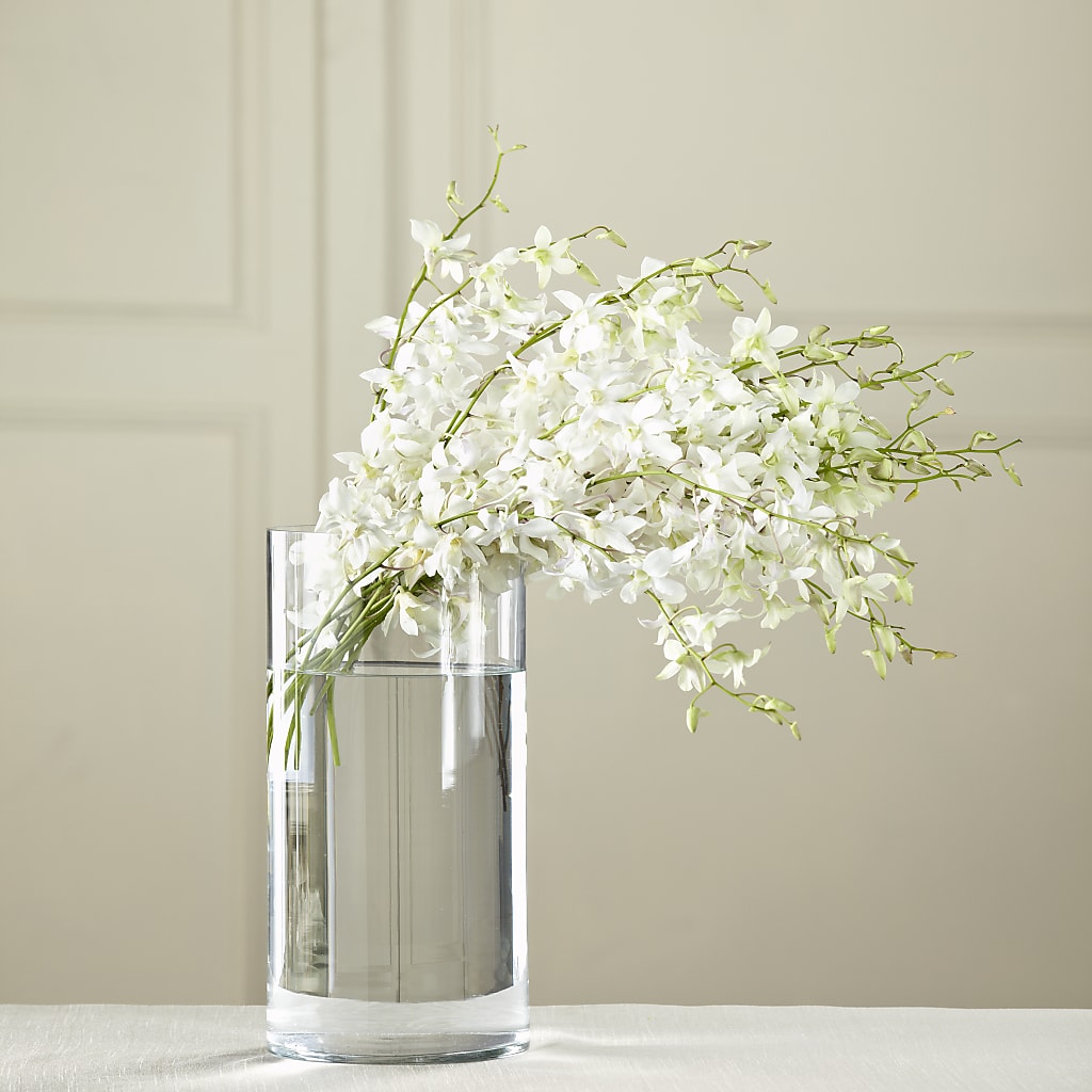White Dendrobium Bouquet – Bath County Florist, Owingsville KY