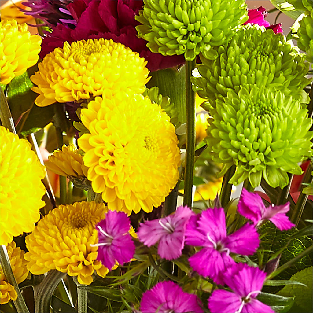 Bold & Bright – A Florist Original –  Bath County Florist, Owingsville KY