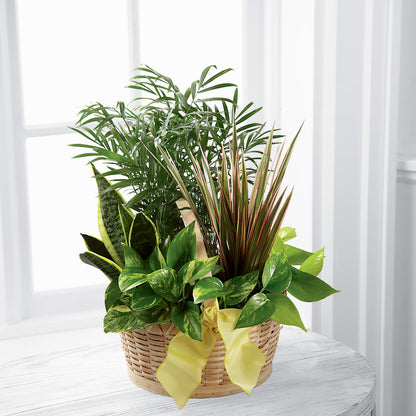 French Garden –  Bath County Florist, Owingsville KY