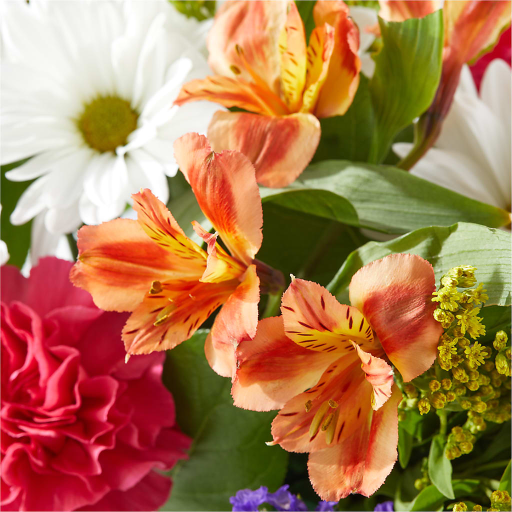 Oopsie Daisy Box Bouquet –  Bath County Florist, Owingsville KY
