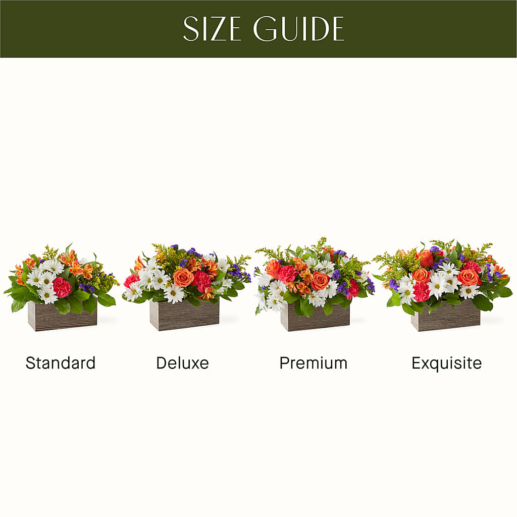 Oopsie Daisy Box Bouquet –  Bath County Florist, Owingsville KY