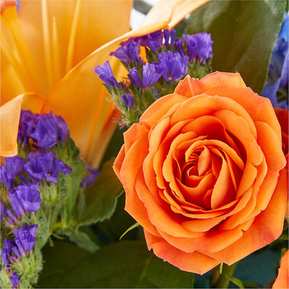 Radiant Citrus Box Bouquet –  Bath County Florist, Owingsville KY