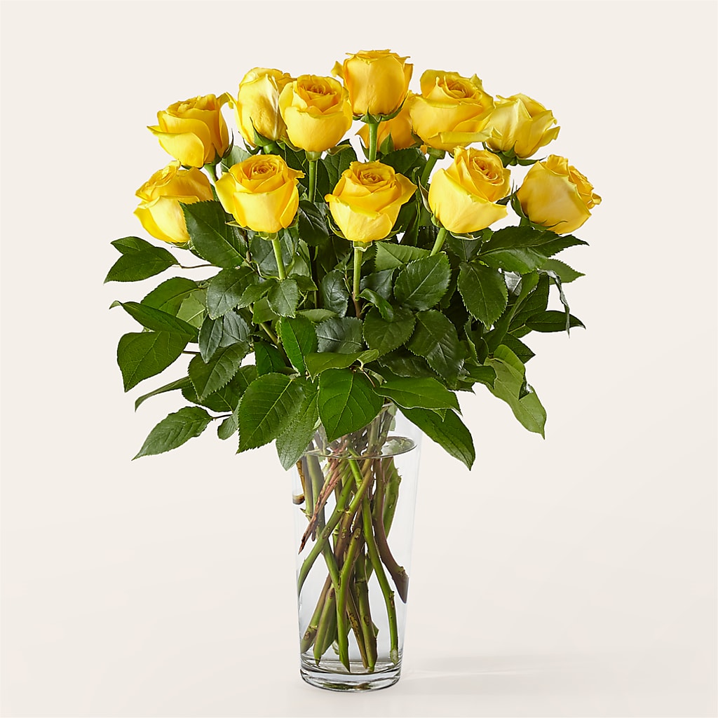 Long Stem Yellow Rose Bouquet –  Bath County Florist, Owingsville KY