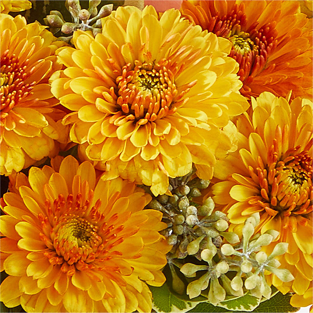 Peachy Pumpkin –  Bath County Florist, Owingsville KY
