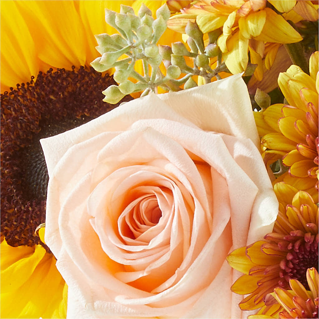 Pumpkin to Talk About Bouquet –  Bath County Florist, Owingsville KY