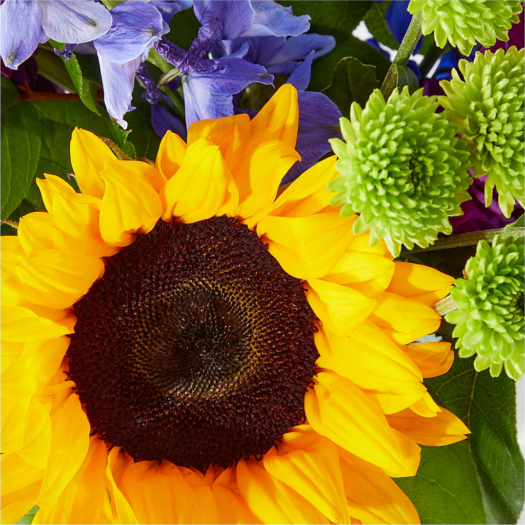 Catching Rays Bouquet –  Bath County Florist, Owingsville KY