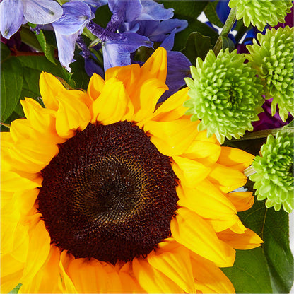Catching Rays Bouquet –  Bath County Florist, Owingsville KY