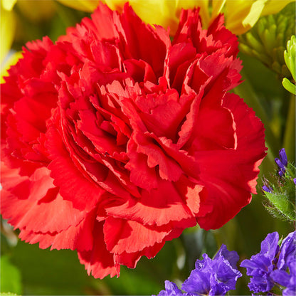 Brighter Days Bouquet –  Bath County Florist, Owingsville KY