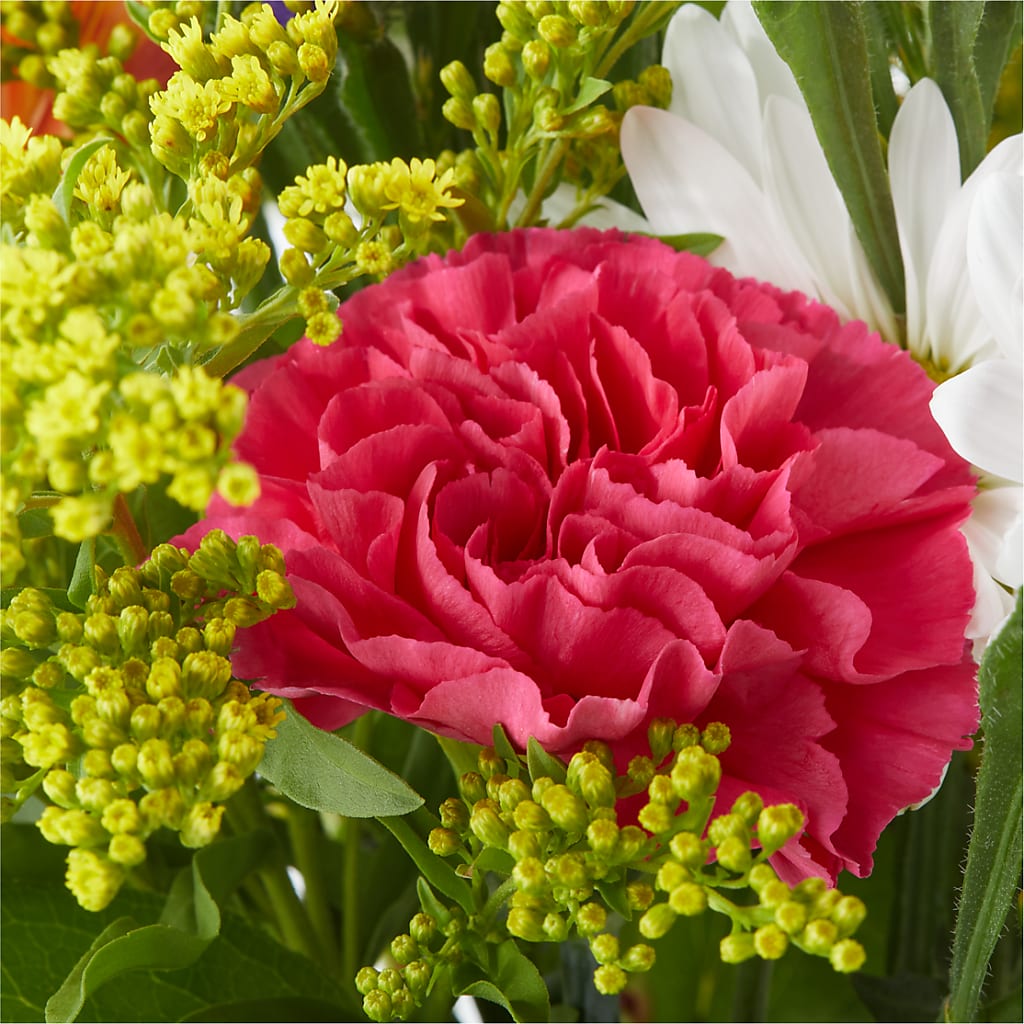 Oopsie Daisy Bouquet –  Bath County Florist, Owingsville KY