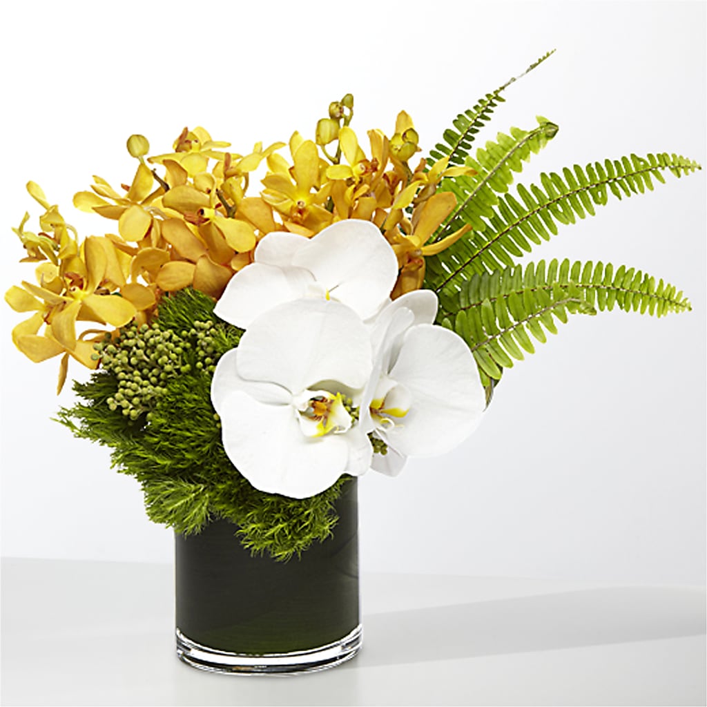The Tropics –  Bath County Florist, Owingsville KY