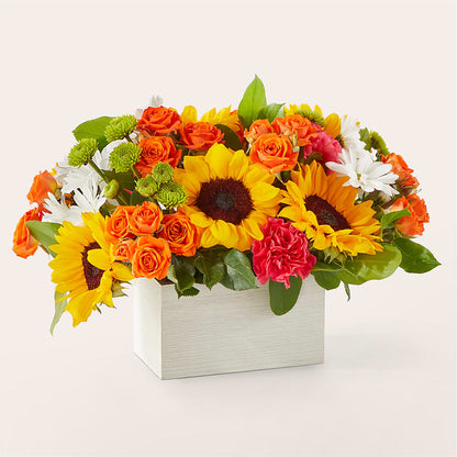 Sun-drenched Blooms Box Bouquet –  Bath County Florist, Owingsville KY