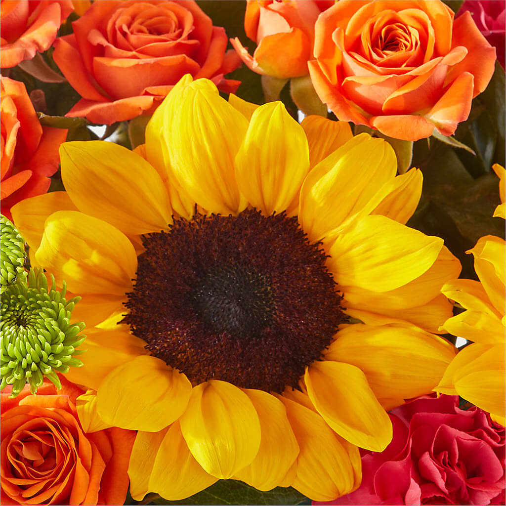 Sun-drenched Blooms Box Bouquet –  Bath County Florist, Owingsville KY