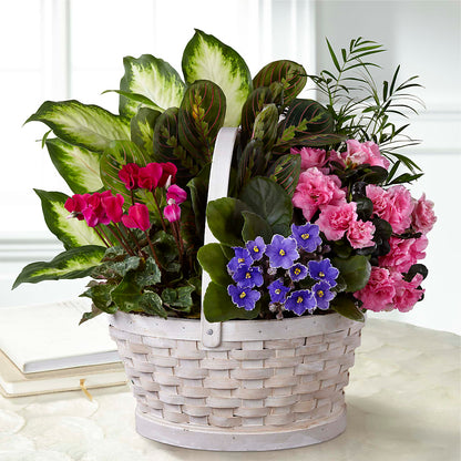 Peaceful Garden Planter –  Bath County Florist, Owingsville KY