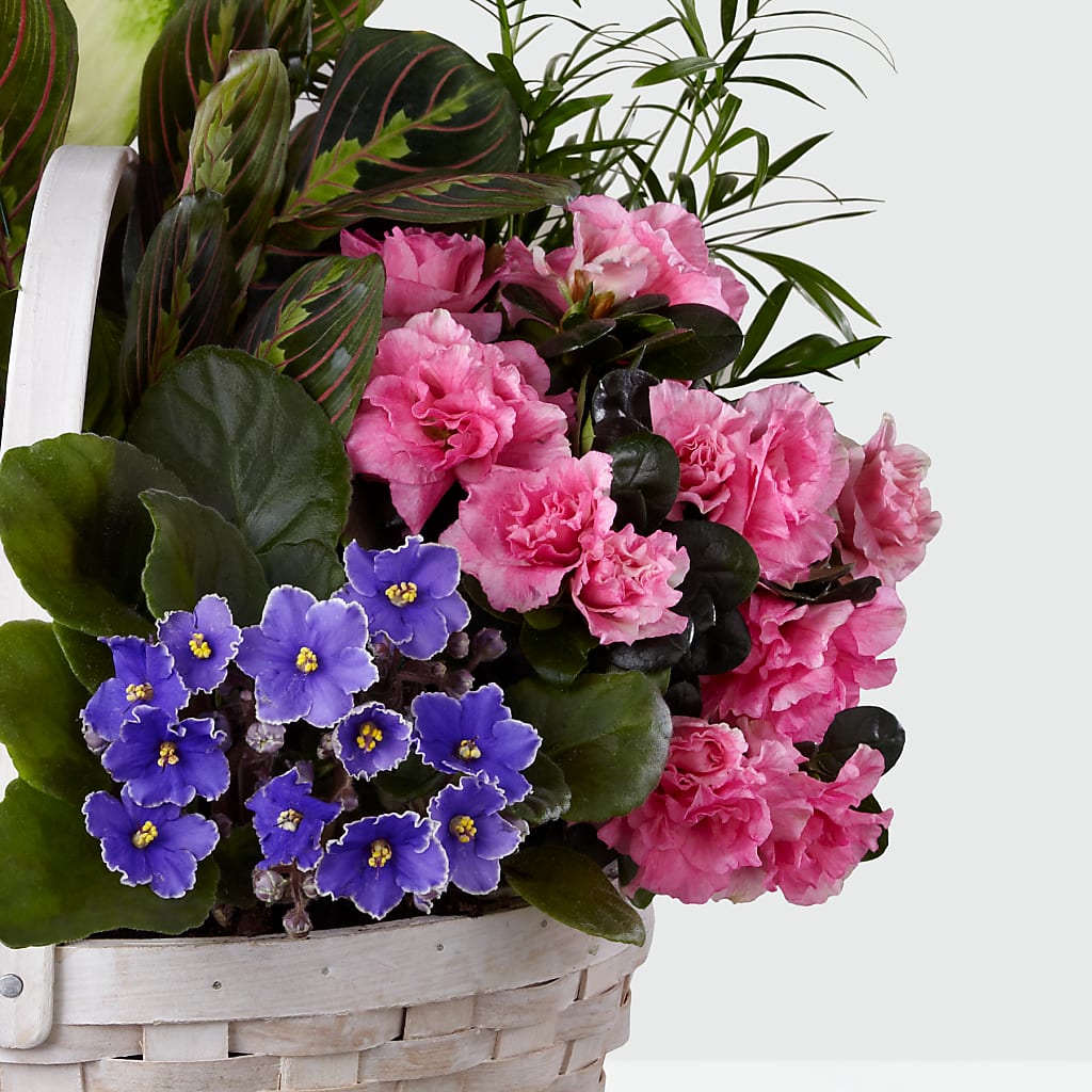 Peaceful Garden Planter –  Bath County Florist, Owingsville KY