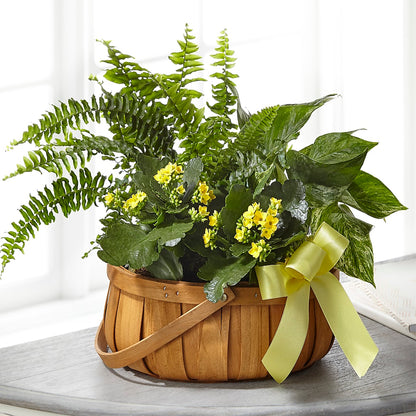 Always Dear Dishgarden –  Bath County Florist, Owingsville KY