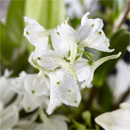 Classic Ivory – A Florist Original –  Bath County Florist, Owingsville KY