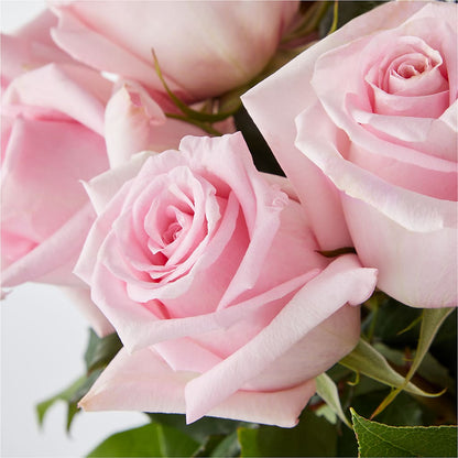 Picture Perfect Pink Rose Bouquet –  Bath County Florist, Owingsville KY