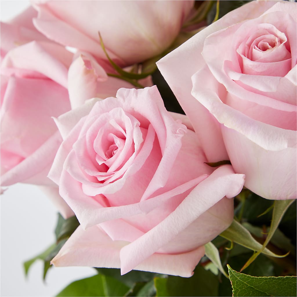 Picture Perfect Pink Rose Bouquet –  Bath County Florist, Owingsville KY