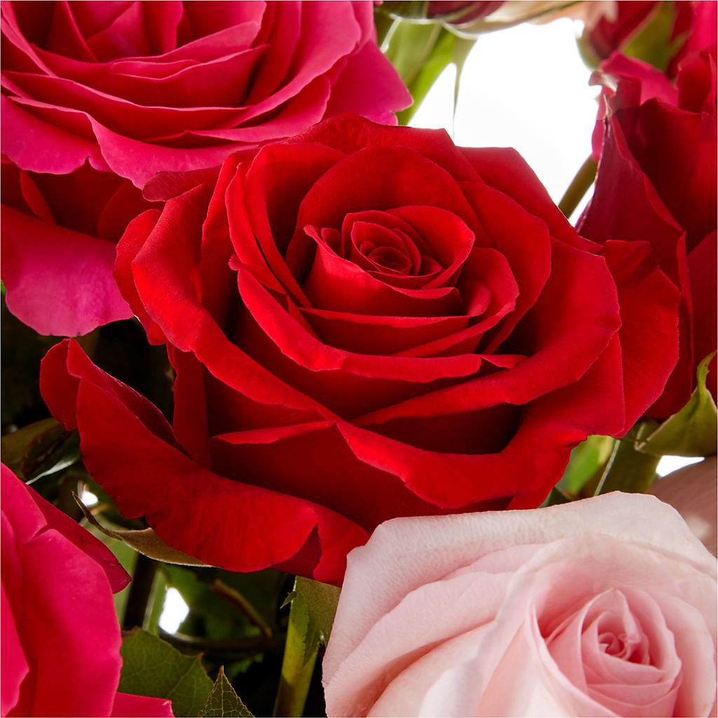 Love Notes Rose Bouquet –  Bath County Florist, Owingsville KY