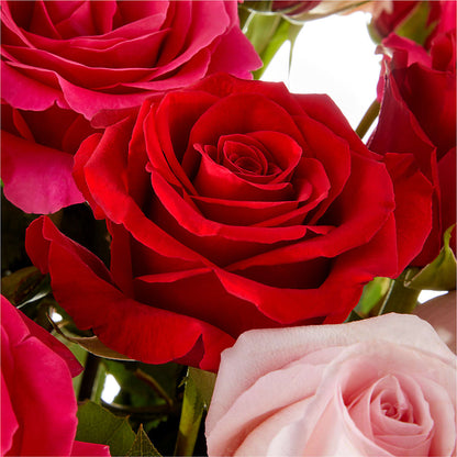 Love Notes Rose Bouquet –  Bath County Florist, Owingsville KY