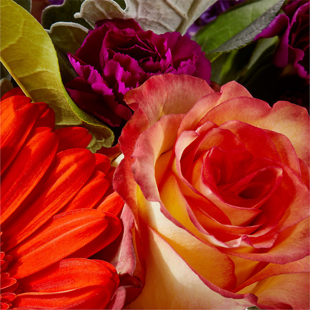 Sangria Bouquet –  Bath County Florist, Owingsville KY