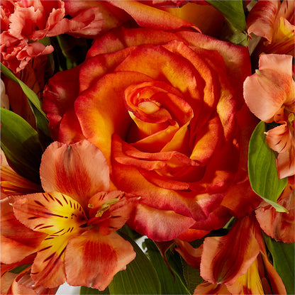 Apricot Glow Bouquet –  Bath County Florist, Owingsville KY