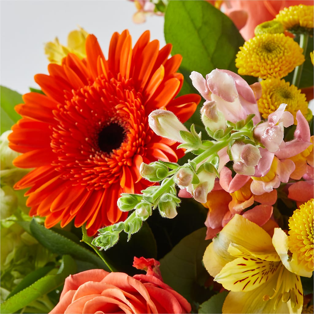 Autumn Sunshine Bouquet –  Bath County Florist, Owingsville KY