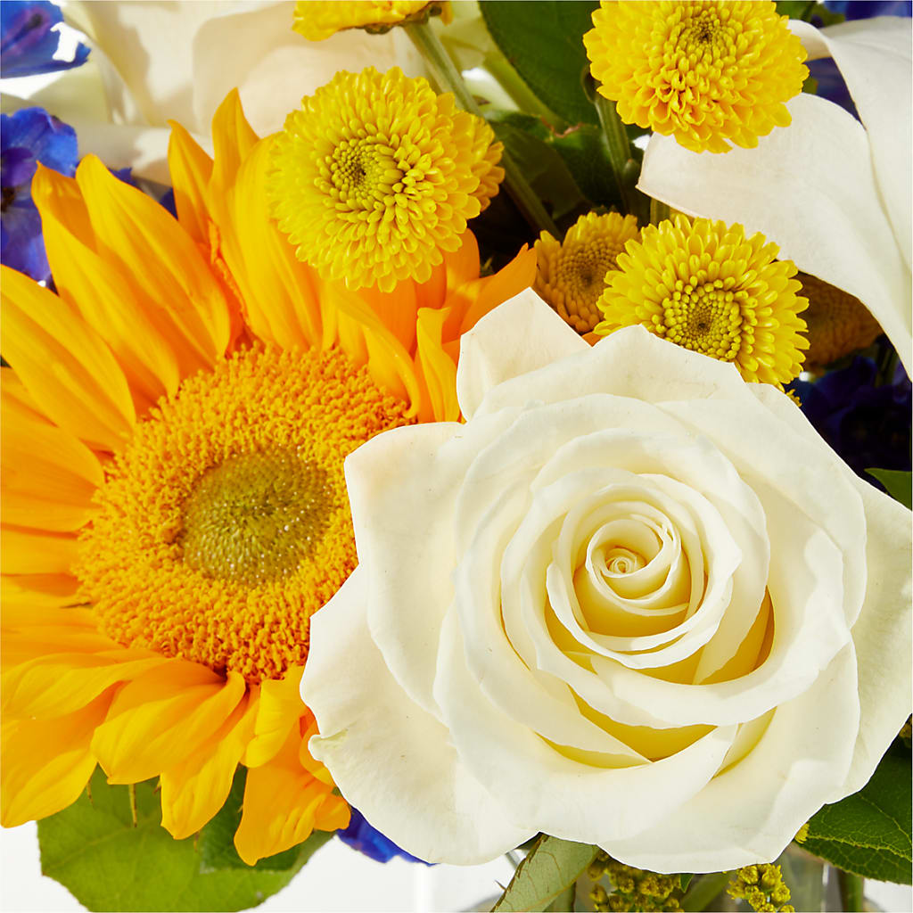 Stargazing Bouquet –  Bath County Florist, Owingsville KY