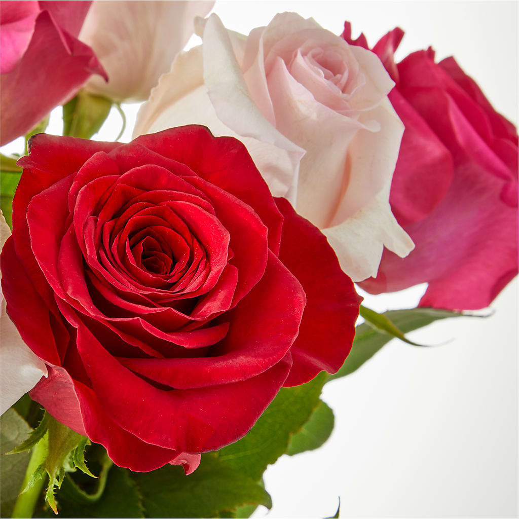 Charming Rose Bouquet –  Bath County Florist, Owingsville KY