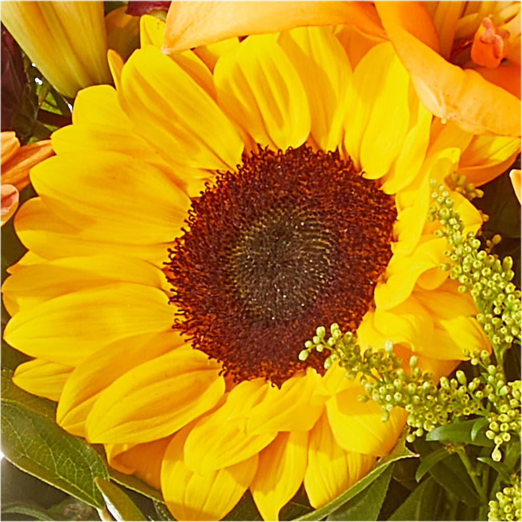 Seasons Change Bouquet –  Bath County Florist, Owingsville KY