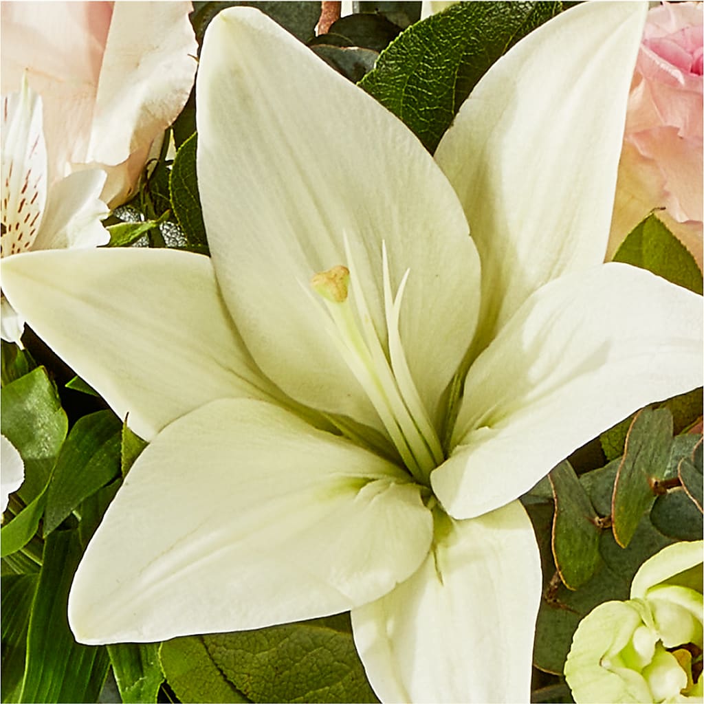 Ballet Slippers Bouquet –  Bath County Florist, Owingsville KY
