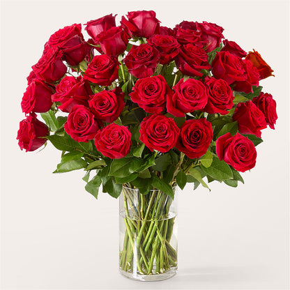 The One Red Rose Bouquet –  Bath County Florist, Owingsville KY