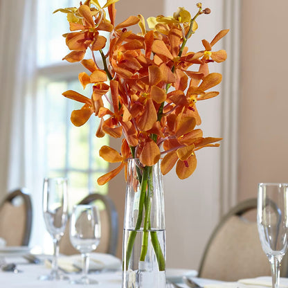 Orange Mokara Bud Vase –  Bath County Florist, Owingsville KY