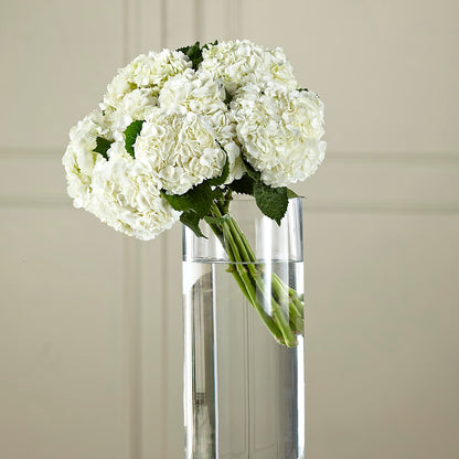 White Hydrangea Hand-Tied Bouquet –  Bath County Florist, Owingsville KY