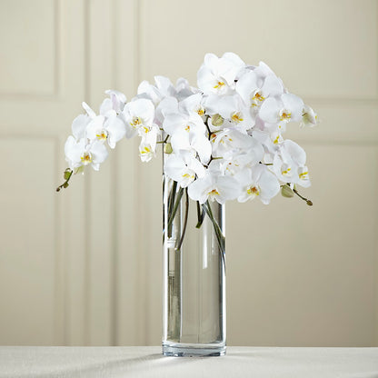 White Phalaenopsis Bouquet –  Bath County Florist, Owingsville KY