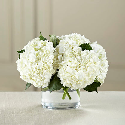 White Hydrangea Bouquet –  Bath County Florist, Owingsville KY